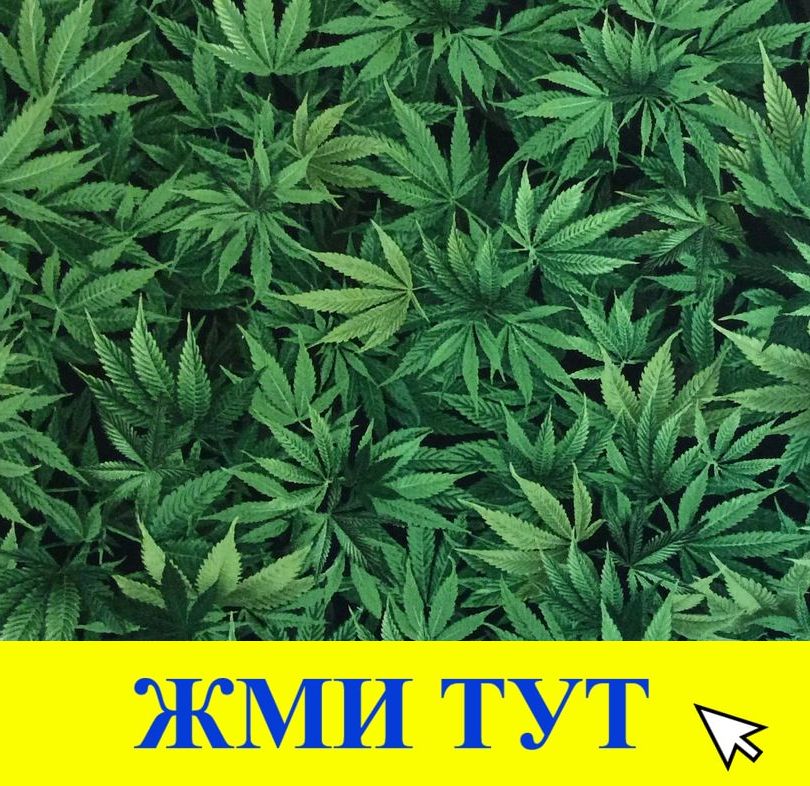 Купить наркотики в Тулуне